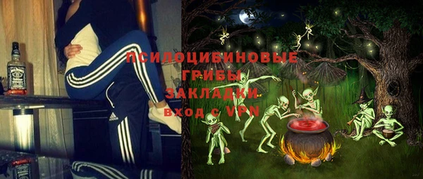 прущий лед Верея