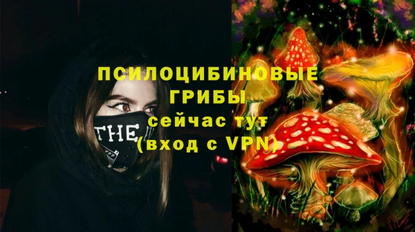 таблы Верхний Тагил
