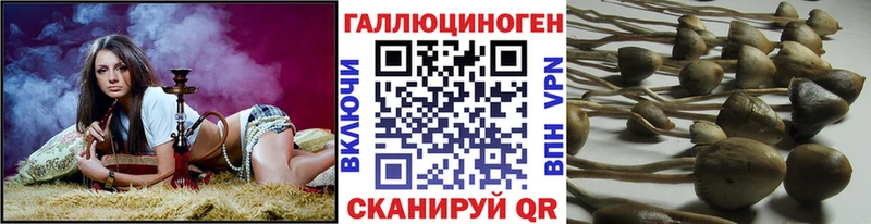 Галлюциногенные грибы Psilocybine cubensis  Купить  Пролетарск 