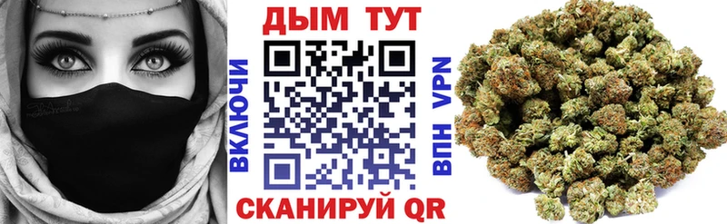 Конопля индика  Купить где  Пролетарск 